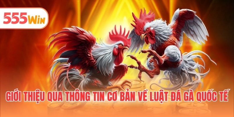Giới thiệu qua thông tin cơ bản về luật đá gà quốc tế